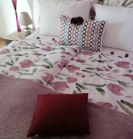 Sara 마카르스카