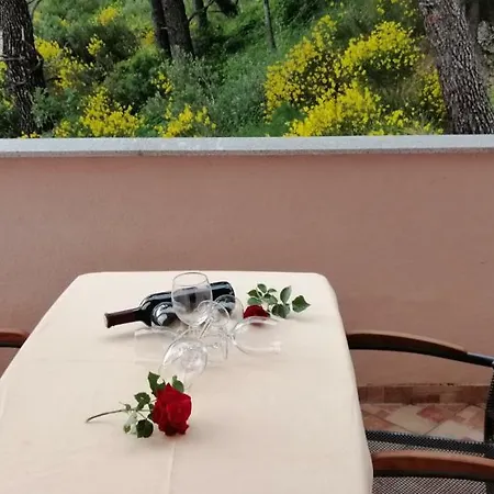 Sara * 마카르스카